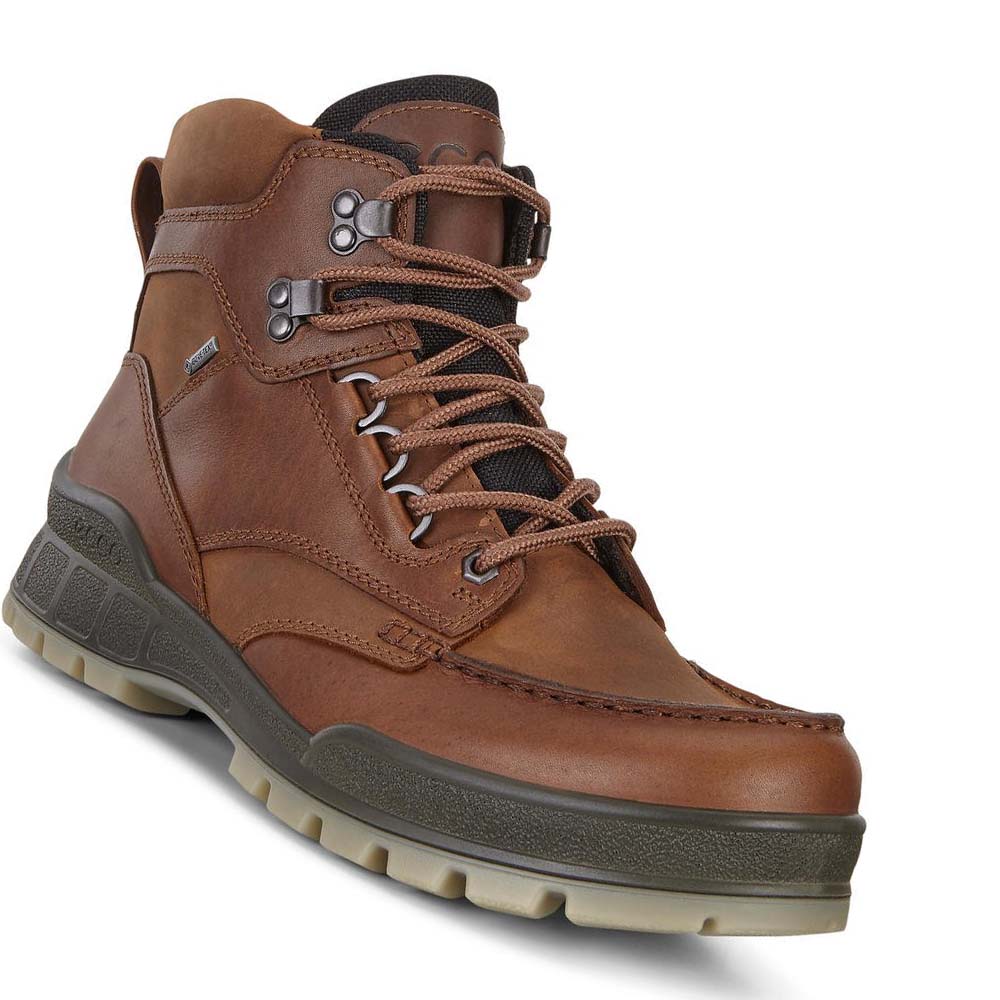 Men's Ecco Track 25 High Hiking & Trail Coffee | Canada 571FDN